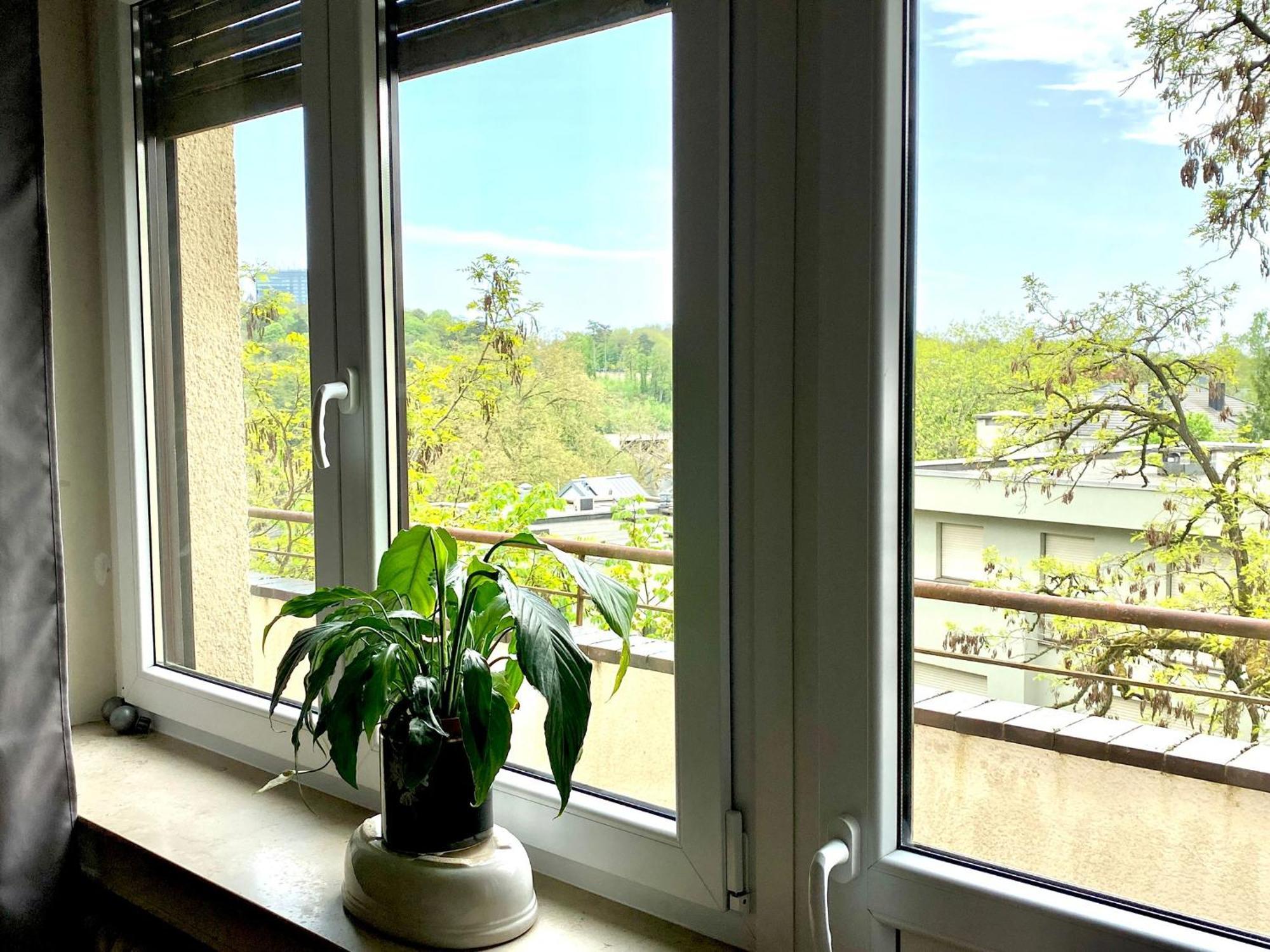 Rue Des Glacis Limpertsberg Hotell Luxembourg Eksteriør bilde